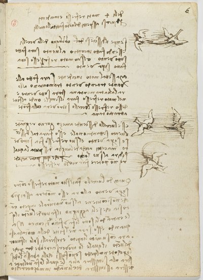 Código de vuelo de aves, c. 1505-06 de Leonardo da Vinci